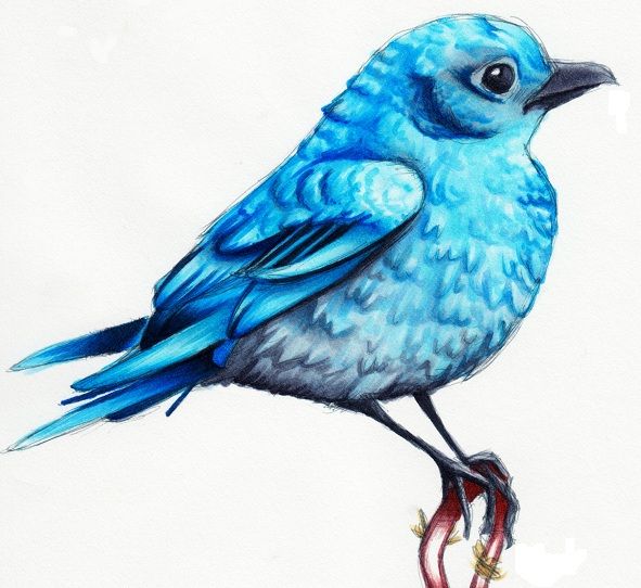 Amazing bluebird tattoo design