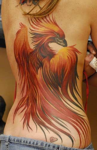 Big phoenix tattoo on back