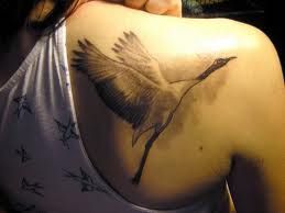 Bird tattoo on back