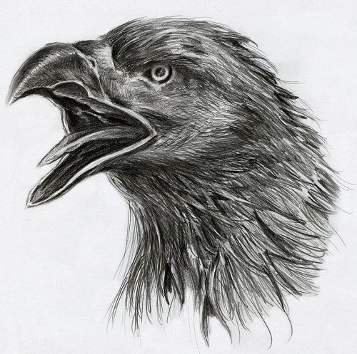 Black eagle head tattoo design