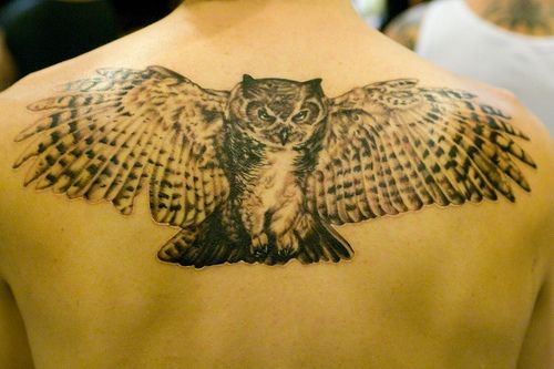 Black owl with big wings tattoo