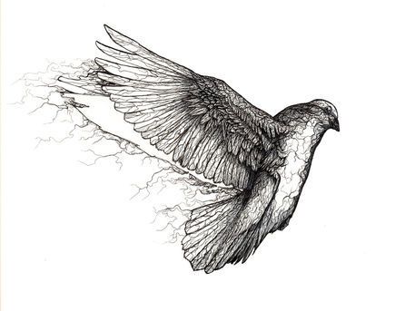 Cool dove tattoo design