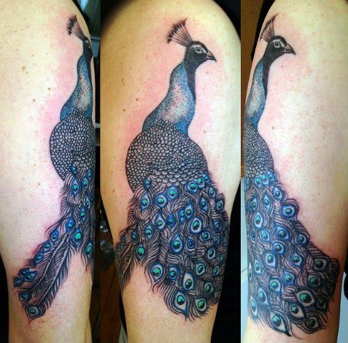 Great peacock tattoo