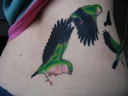 Green and black birds tattoo