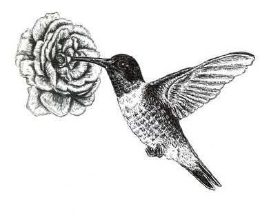 Hummingbird with flower tattoo design
