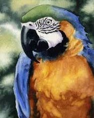 Natural colours parrot design