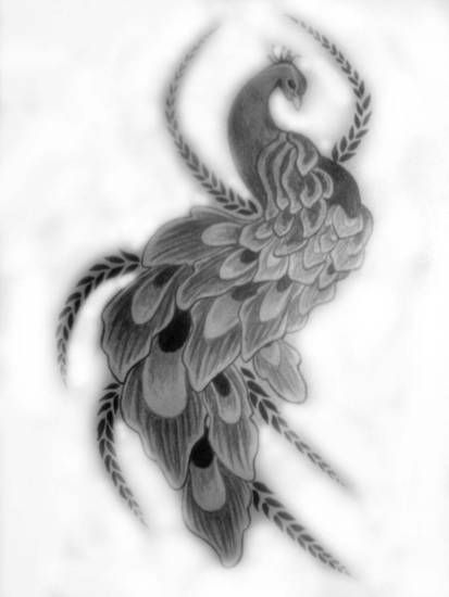 Peacock tattoo design