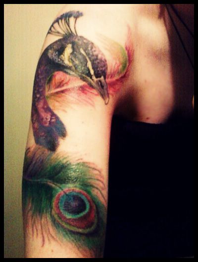 Peacock tattoo on arm