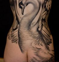 Big swan tattoo on back