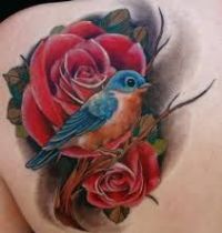 Blue and orange bird among roses