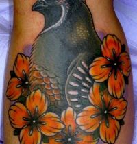 Black dove with orange flowers