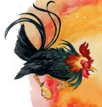 Black rooster tattoo design