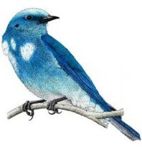 Blue bird tattoo design