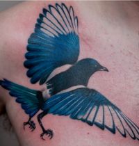 Blue magpie tattoo