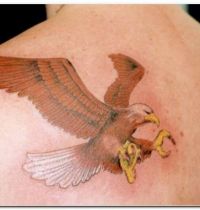 Brown eagle in flight tattoo