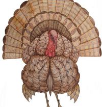 Brown turkey tattoo design