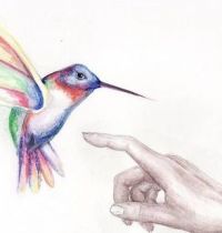 Colourful hummingbird and hand