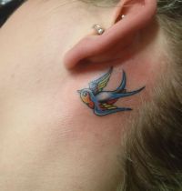 Colourful swallow tattoo