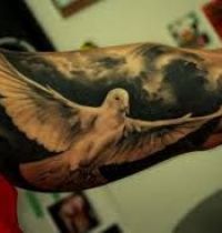 Dove tattoo on arm