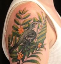 Green bird and rowan