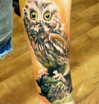 Hand tattoo with brown owl