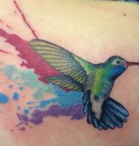 Hummingbird tattoo in colours