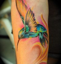 Hummingbird tattoo in colours