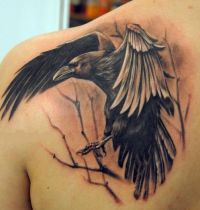 Black magpie and tree tattoo