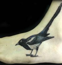 Magpie tattoo on foot