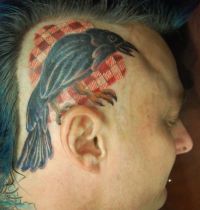 Magpie tattoo on head
