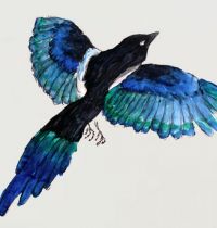 Magpie with blue feathers tattoo design