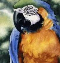 Natural colours parrot design
