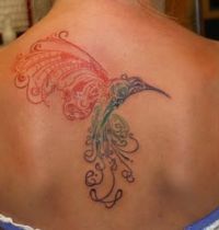 Colourful hummingbird tattoo