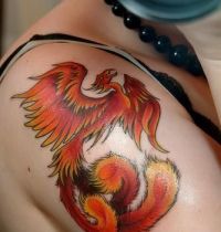 Orange fenix tattoo