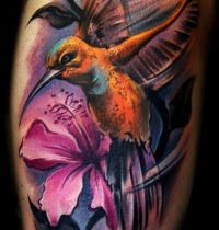 Orange humminbird tattoo