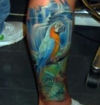 Parrot in the jungle tattoo