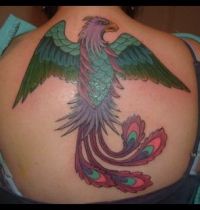 Peacock with big wings tattoo