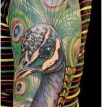 Peacock head tattoo