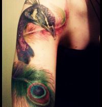 Peacock tattoo on arm