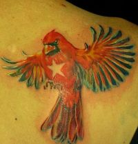 Red parrot with star tattoo