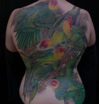 Six parrots back tattoo