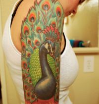 Colourful peacock sleeve bird tattoo