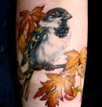Sparrow among leafs tattoo