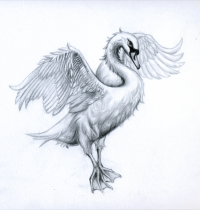 Swan tattoo design in white colour