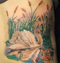 Swans on water tattoo