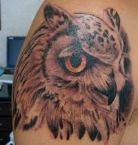 Tattoo with brown head of owl