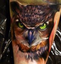 Tattoo with brown owl