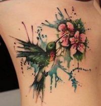 The hummingbird tattoo