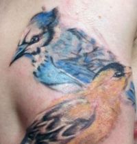 Two birds as tattoo