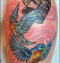 Two birds and bircage tattoo